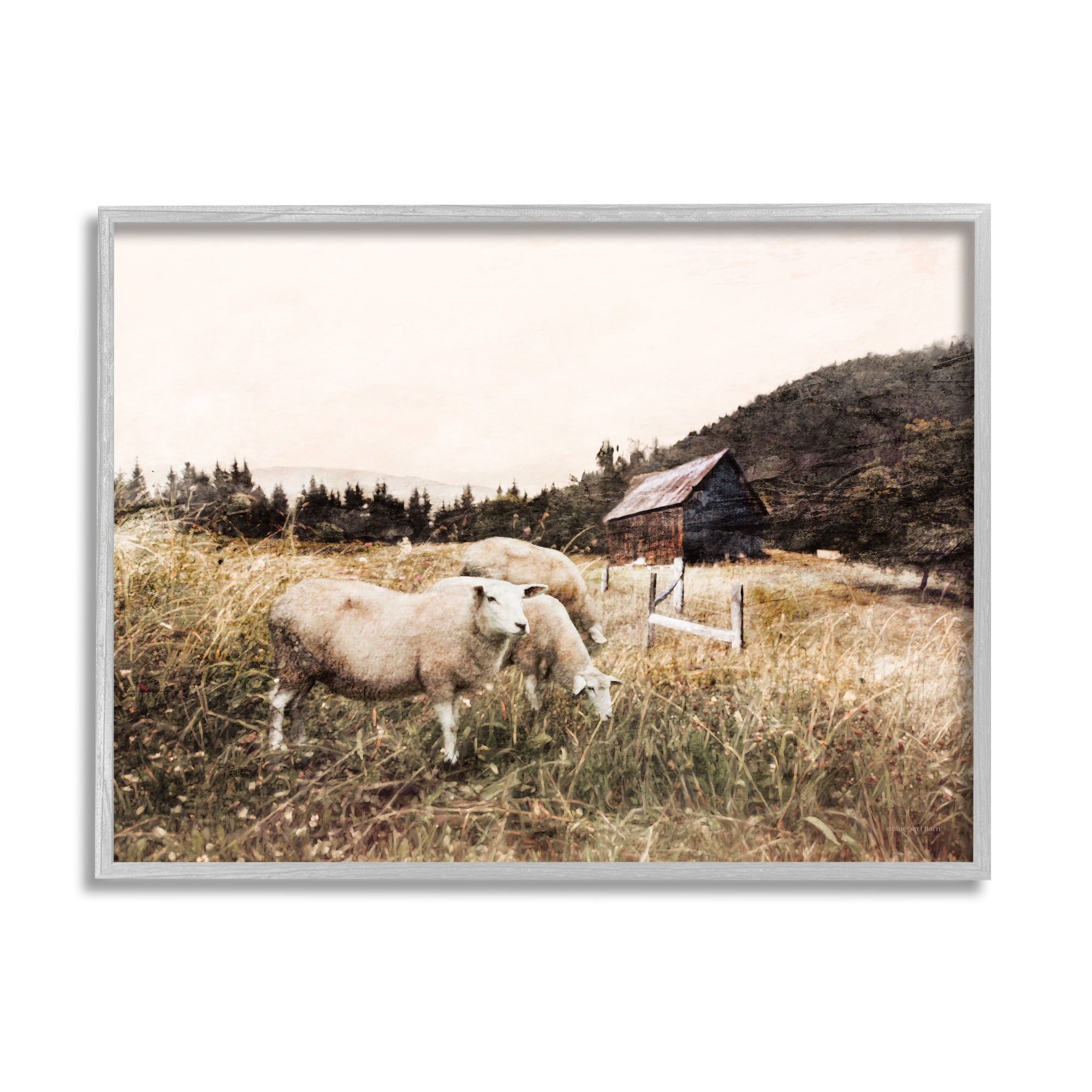 Stupell Industries Autumn Field Farm Sheep Grazing Wilderness Barn, 24 x 30, Designed by Bluebird Barn