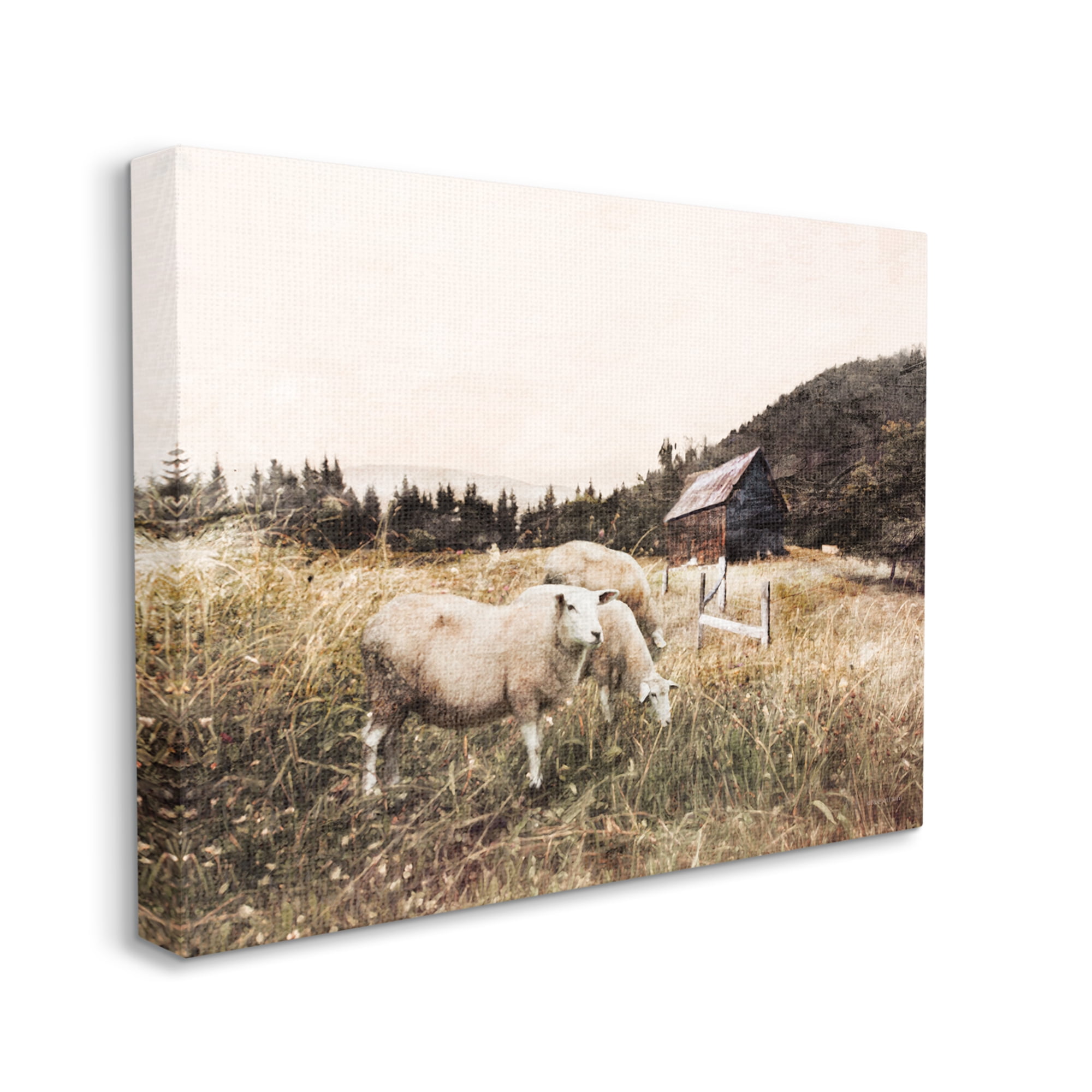 Stupell Industries Autumn Field Farm Sheep Grazing Wilderness Barn, 24 x 30, Designed by Bluebird Barn
