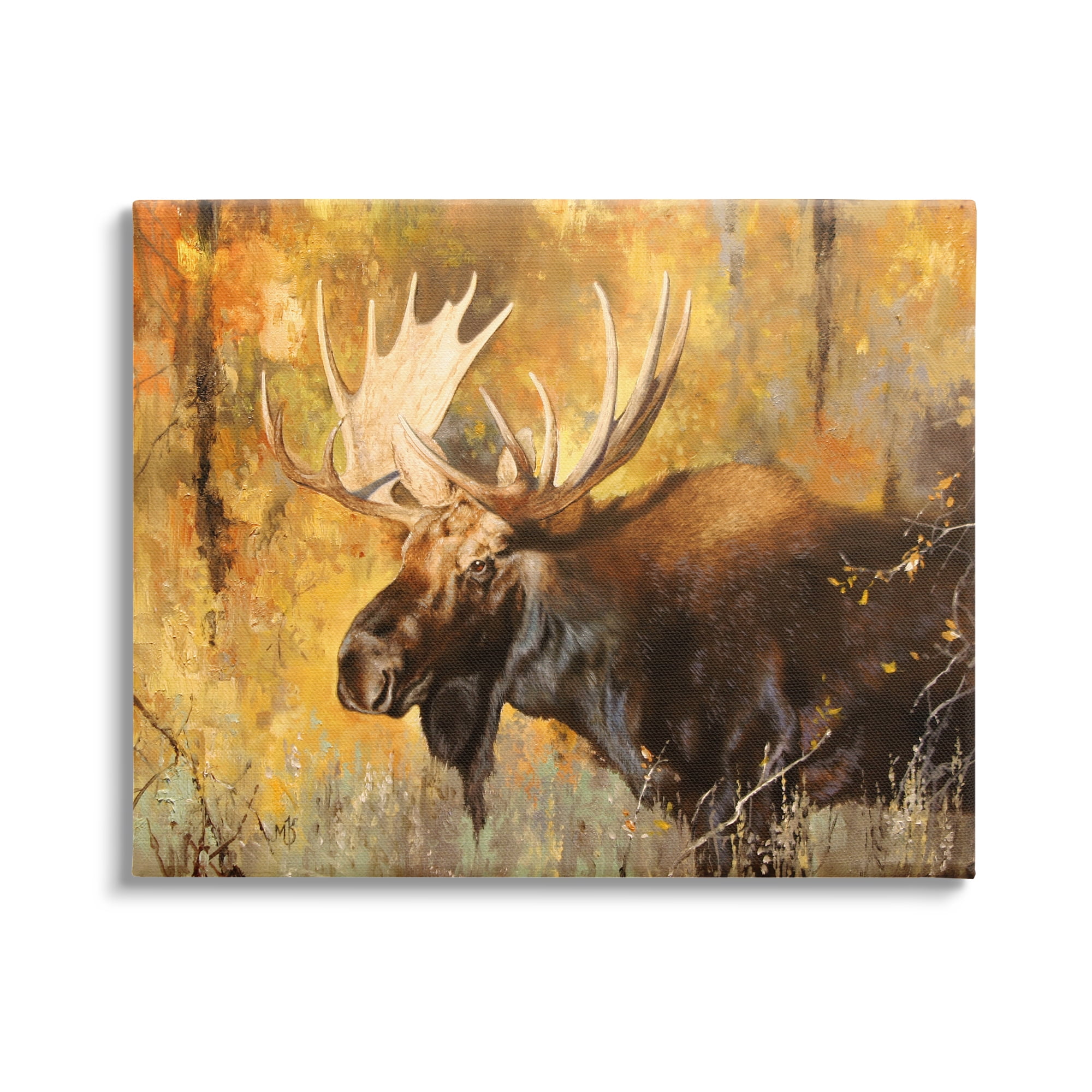 Stupell Industries Autumn Foliage Moose Portrait Animals & Insects Photography Gallery Wrapped Canvas Print Wall Art, 48 x 36