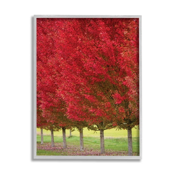 Stupell Industries Autumn Foliage Red Leaf Trees Nature Scene, 11 x 14, Designed by Nancy Crowell