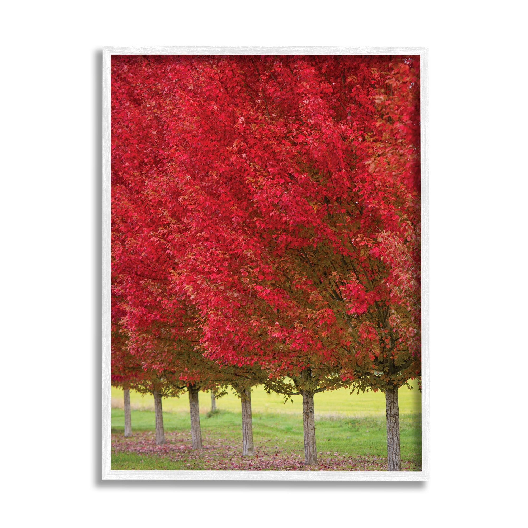 Stupell Industries Autumn Foliage Red Leaf Trees Nature Scene, 16 x 20, Designed by Nancy Crowell