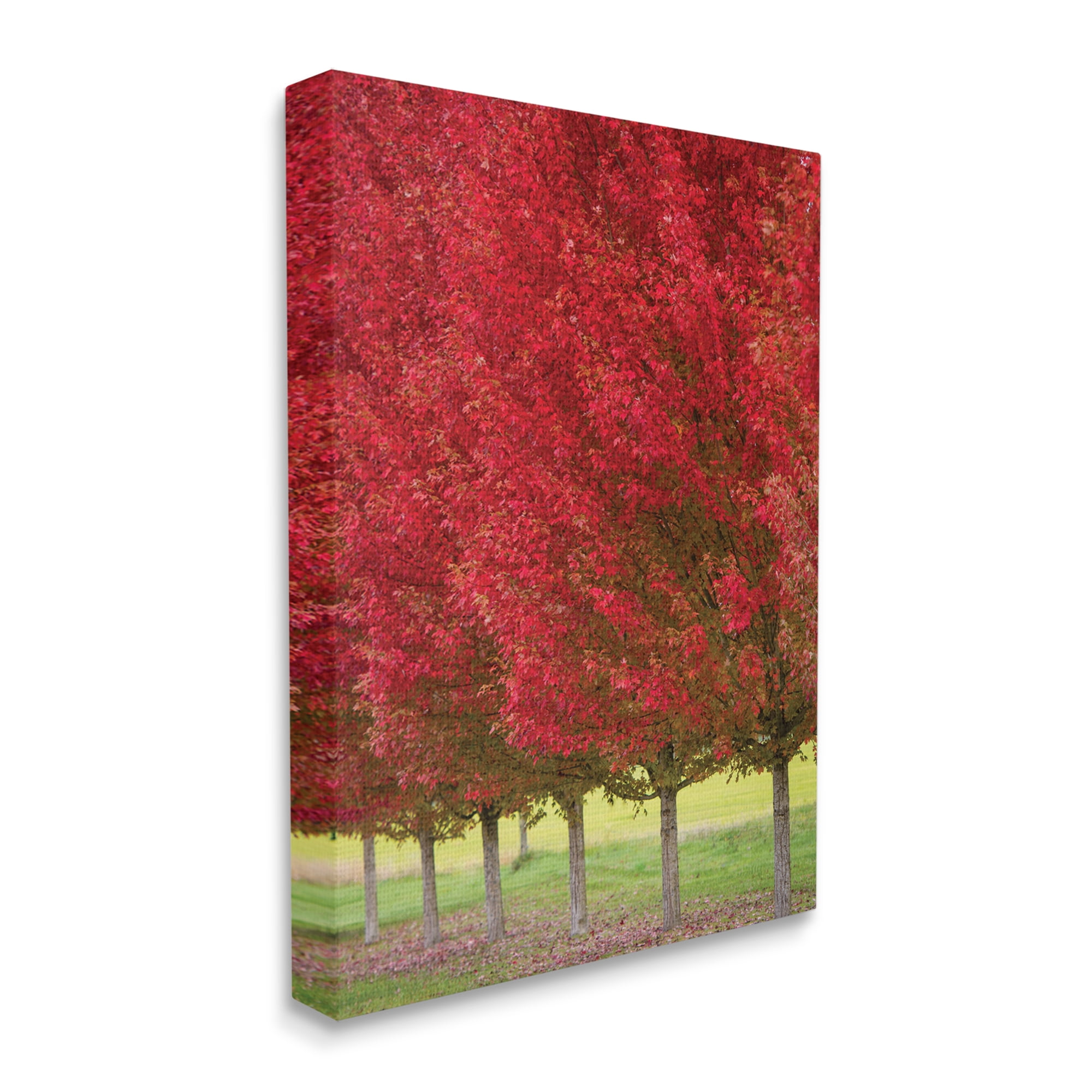 Stupell Industries Autumn Foliage Red Leaf Trees Nature Scene, 36 x 48, Designed by Nancy Crowell