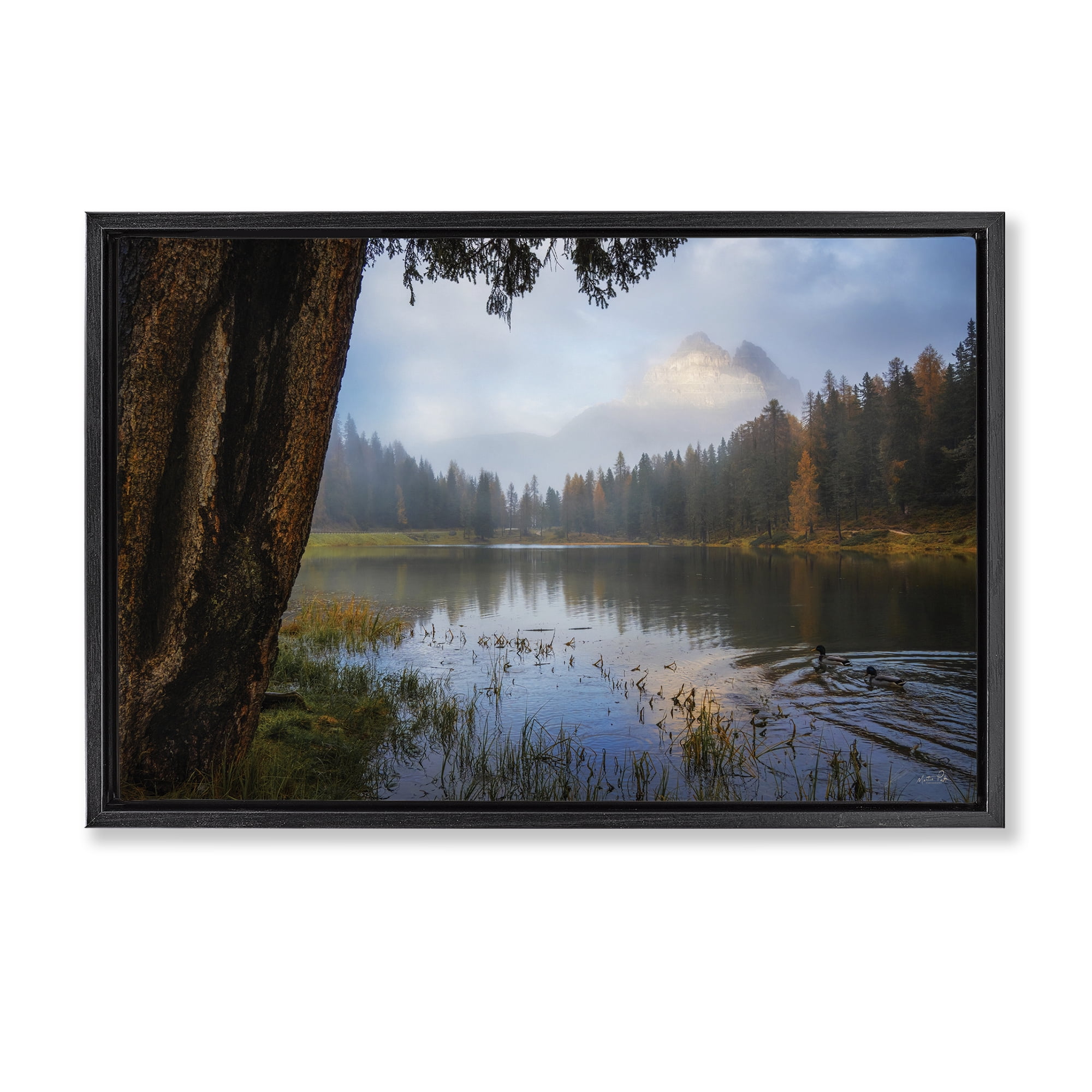 Stupell Industries Autumn Forest Reflections Black Framed Floater Canvas Wall Art, design by Martin Podt