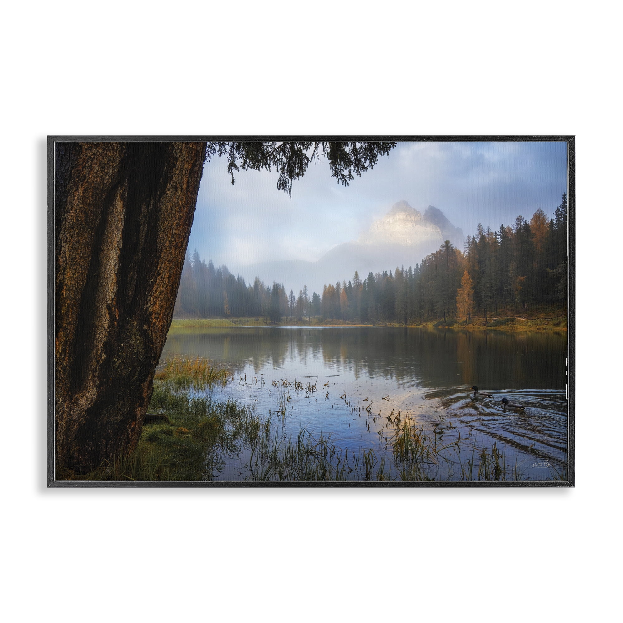 Stupell Industries Autumn Forest Reflections Black Framed Giclee Art, design by Martin Podt