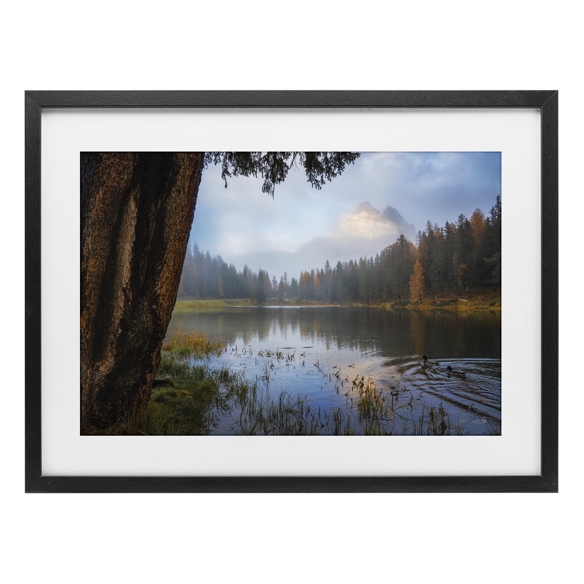 Stupell Industries Autumn Forest Reflections Black Framed Print Under Glass, design by Martin Podt