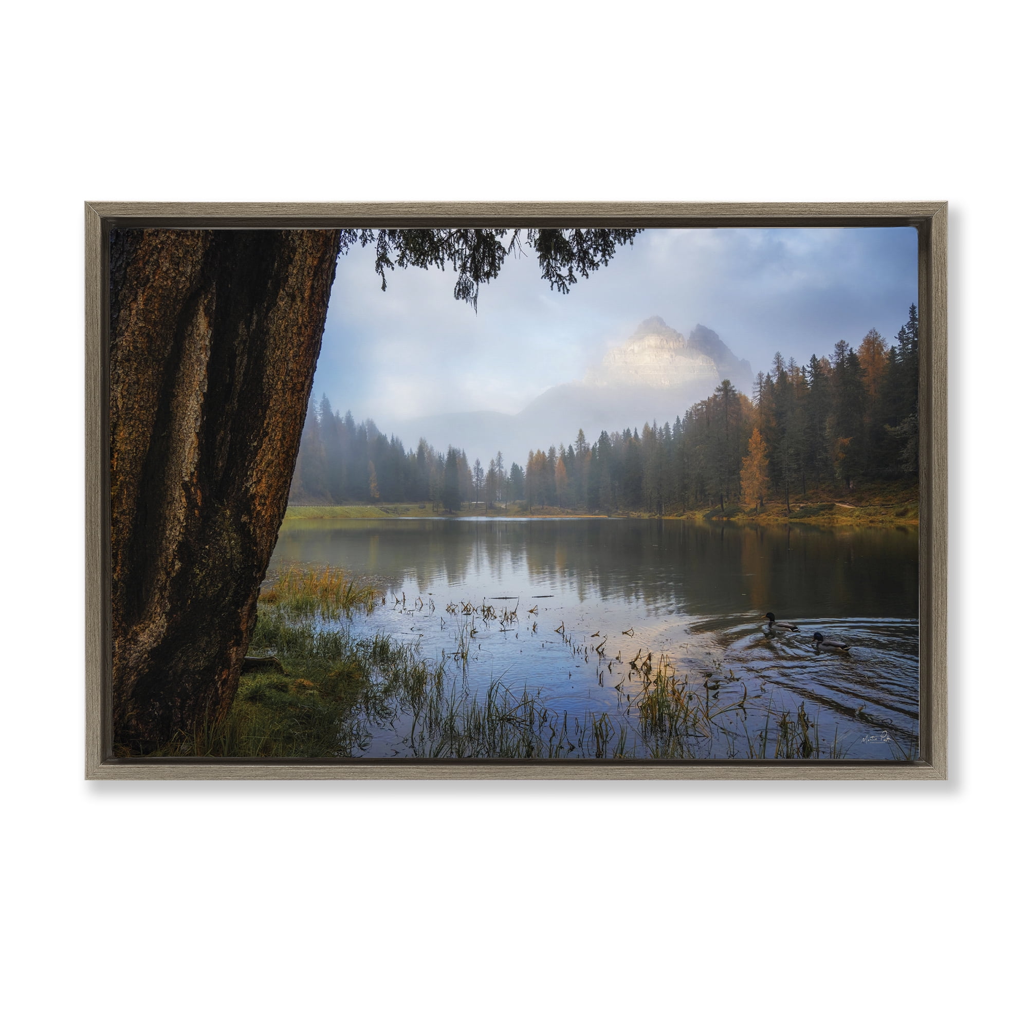 Stupell Industries Autumn Forest Reflections Brown Framed Floater Canvas Wall Art, design by Martin Podt