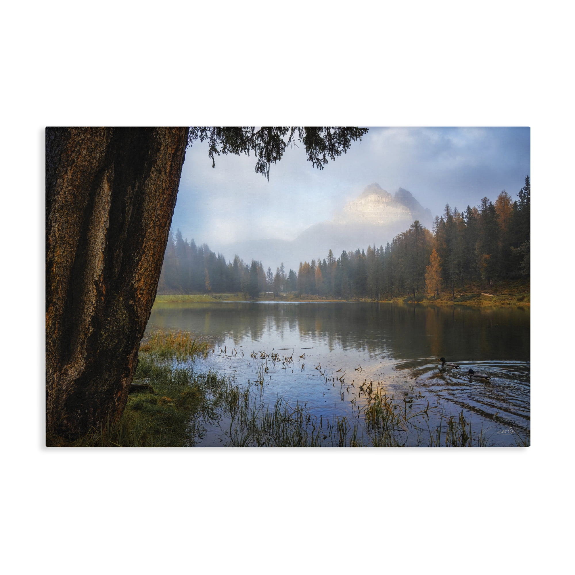 Stupell Industries Autumn Forest Reflections Canvas Wall Art, design by Martin Podt