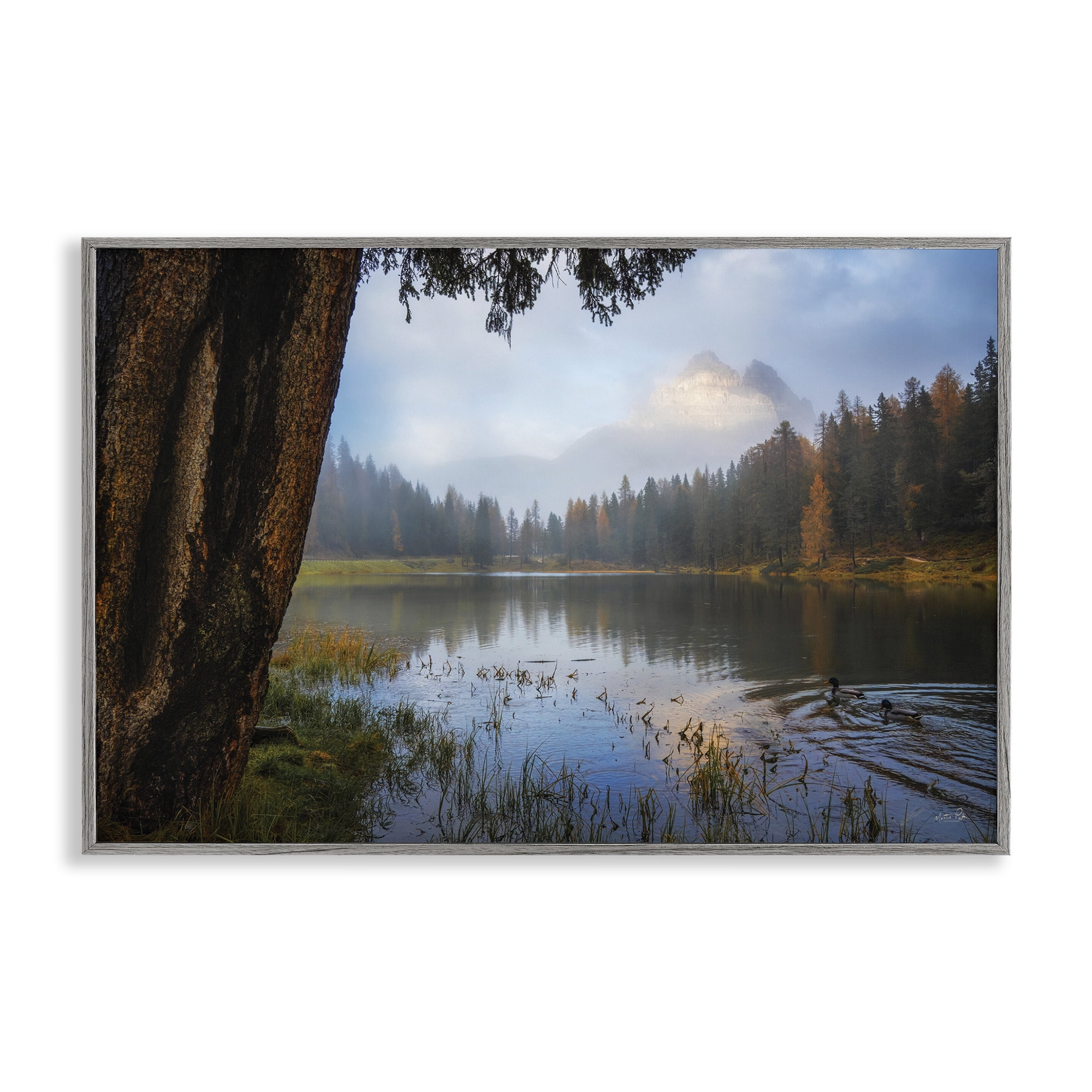 Stupell Industries Autumn Forest Reflections Gray Framed Giclee Art, design by Martin Podt