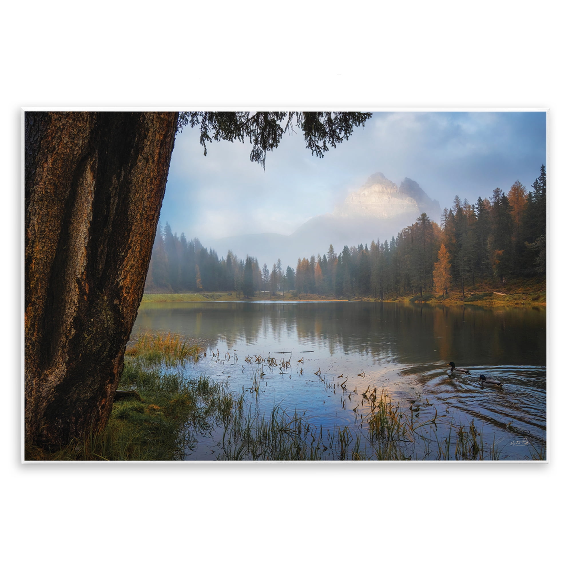 Stupell Industries Autumn Forest Reflections Wall Plaque Art, design by Martin Podt