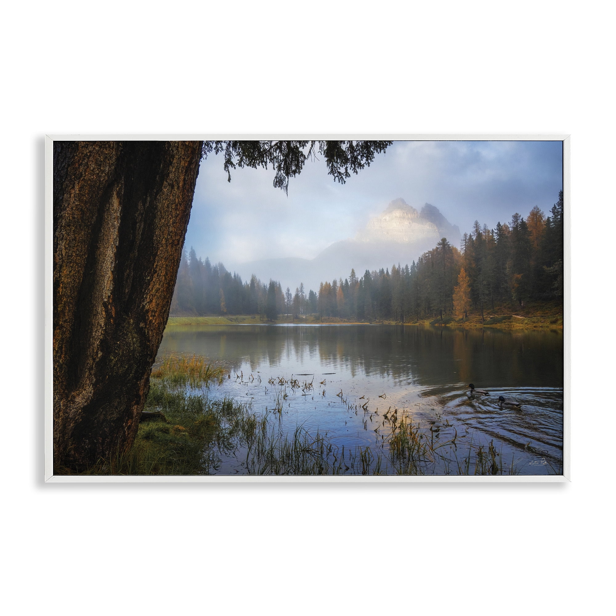 Stupell Industries Autumn Forest Reflections White Framed Giclee Art, design by Martin Podt