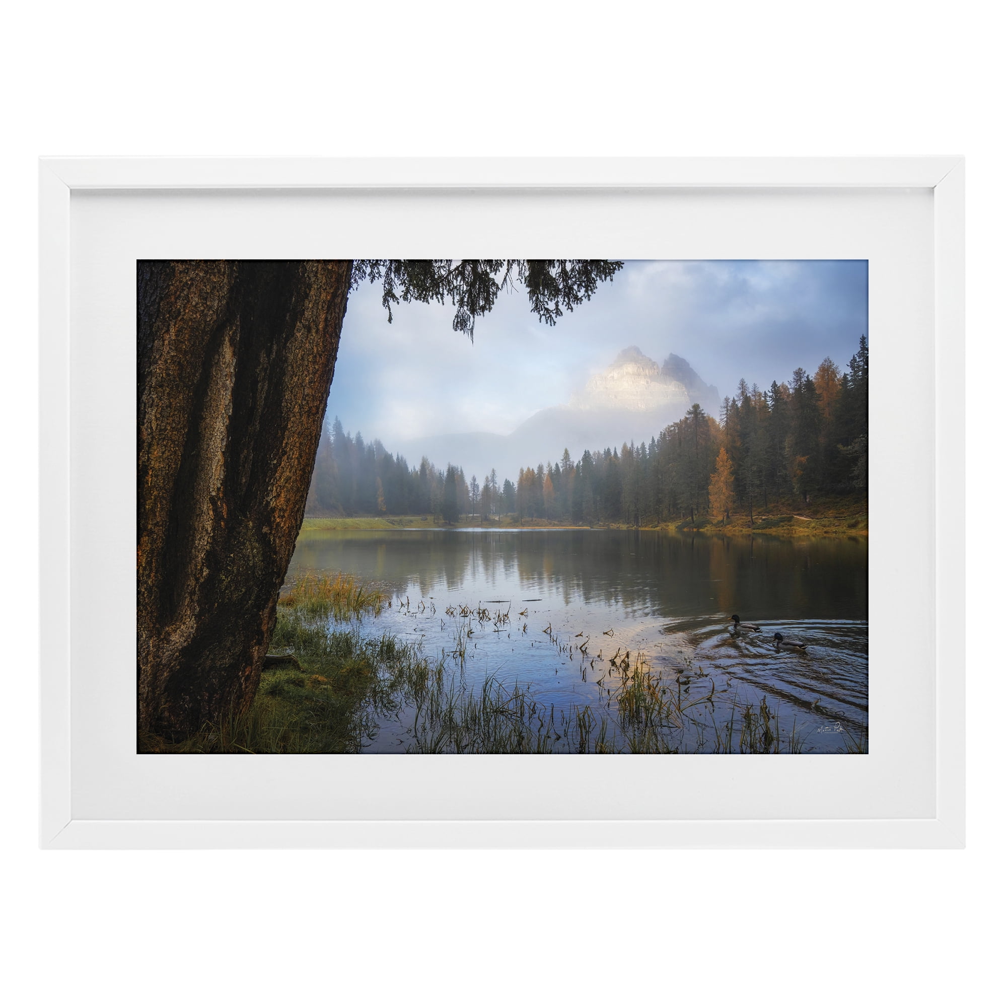 Stupell Industries Autumn Forest Reflections White Framed Print Under Glass, design by Martin Podt