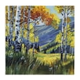 thumbnail image 1 of Stupell Industries Contemporary Autumn Golden Birch Grove Canvas Art, 30 x 30, by Kate Jarvik Birch, 1 of 8