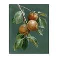 thumbnail image 1 of Stupell Industries Autumn Harvest Fruits Food & Beverage Painting Wrapped Canvas Art Print Wall Art, 16 x 20, 1 of 8