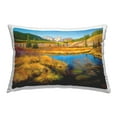 thumbnail image 1 of Stupell Industries Autumn Marsh View Decorative Printed Throw Pillow Design by Andrew Kiss., 1 of 6