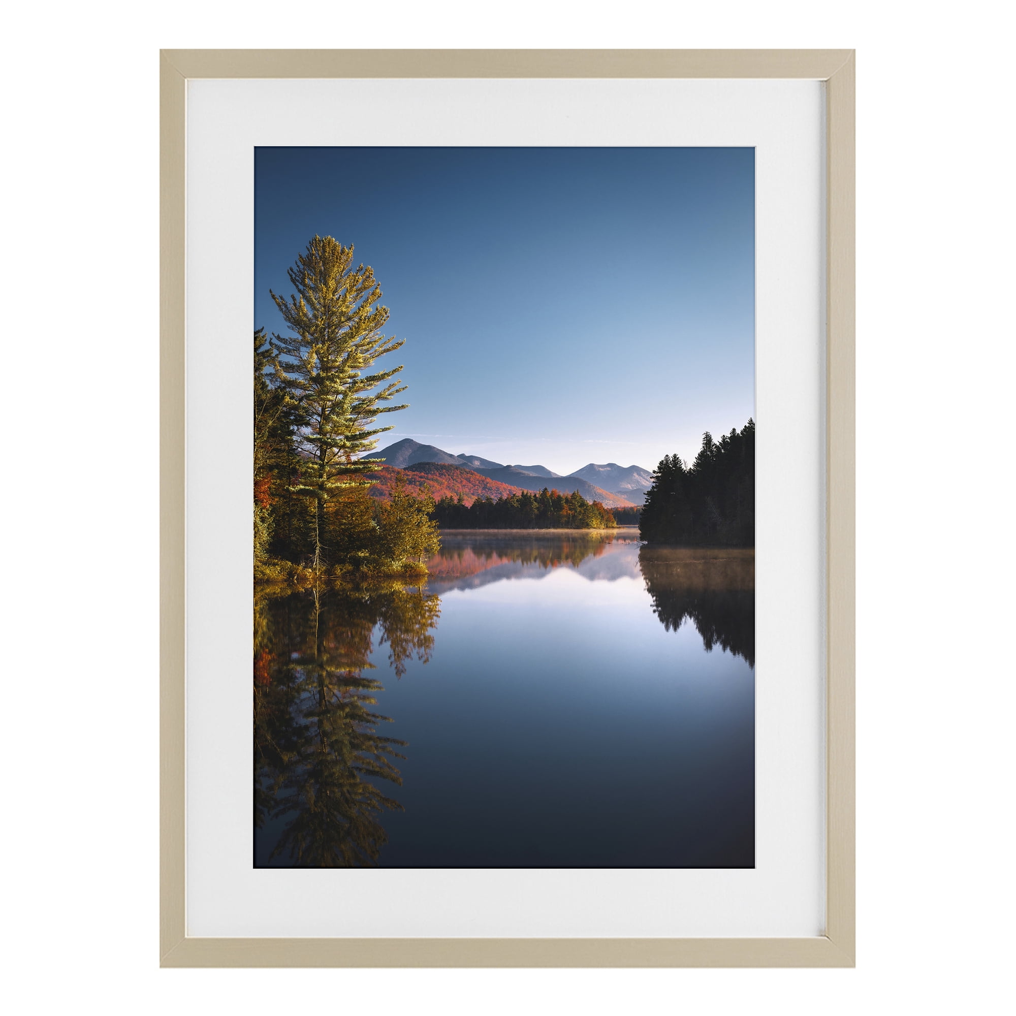 Stupell Industries Autumn Morning Wilderness Birch Framed Print Under Glass, design by Jonathan Zaharek