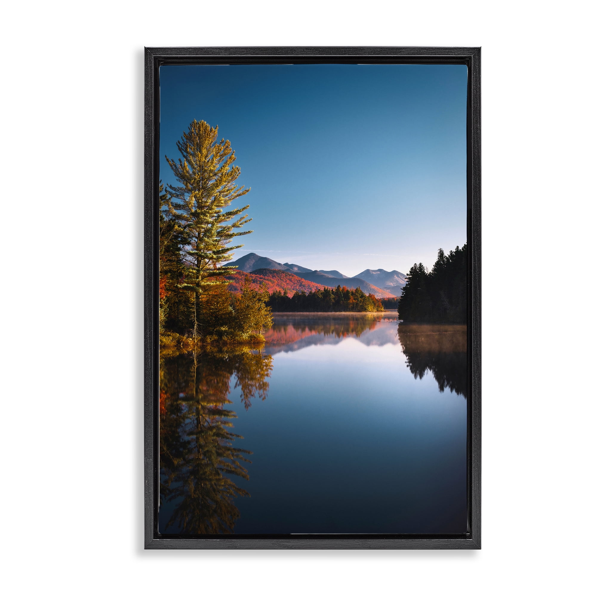 Stupell Industries Autumn Morning Wilderness Black Framed Floater Canvas Wall Art, design by Jonathan Zaharek