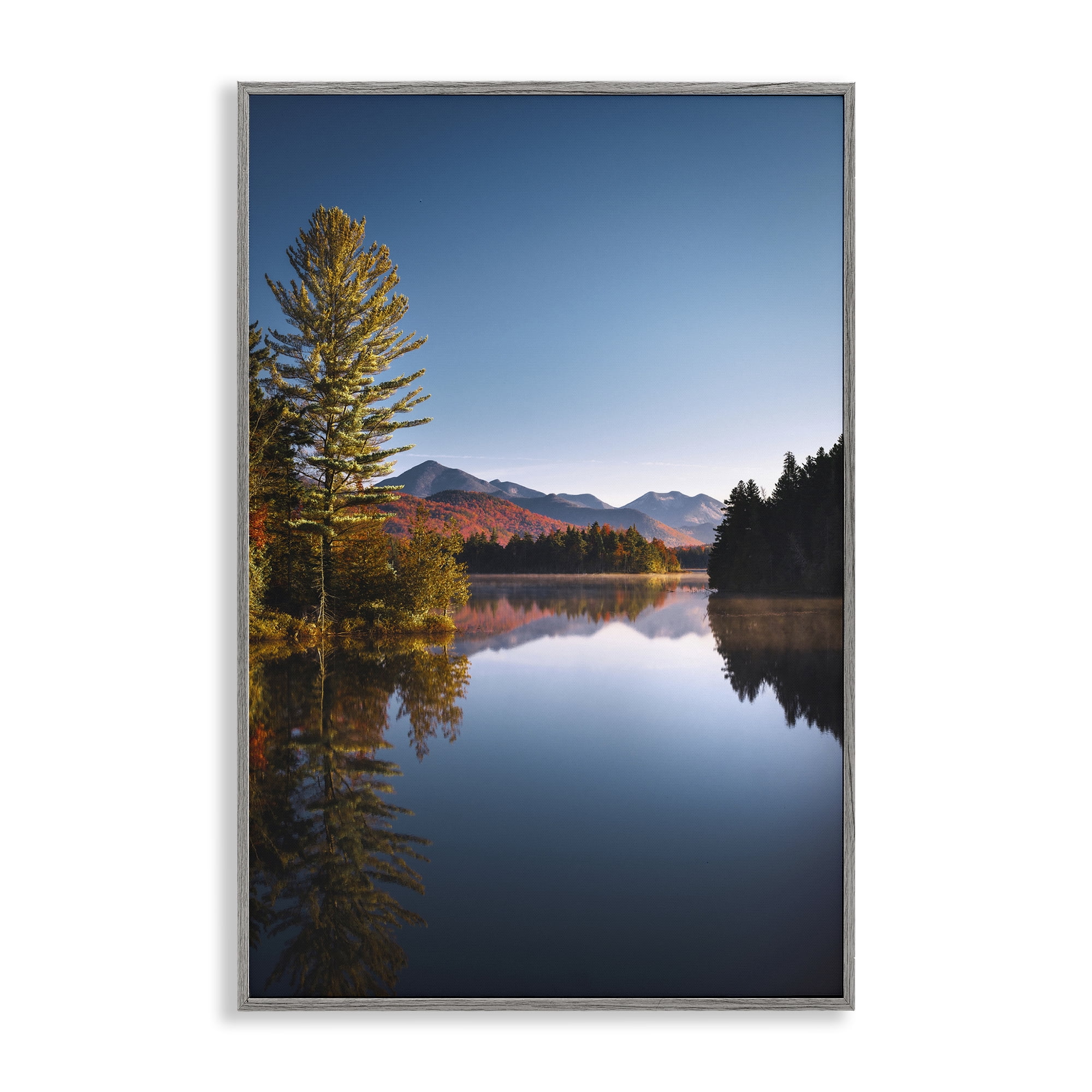 Stupell Industries Autumn Morning Wilderness Gray Framed Giclee Art, design by Jonathan Zaharek