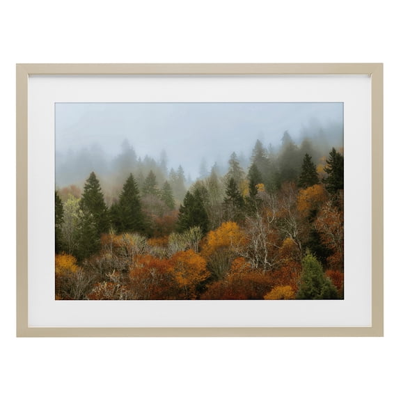 Stupell Industries Autumn Mountain Overview Birch Framed Print Under Glass design by D. Burt, 17 x 23