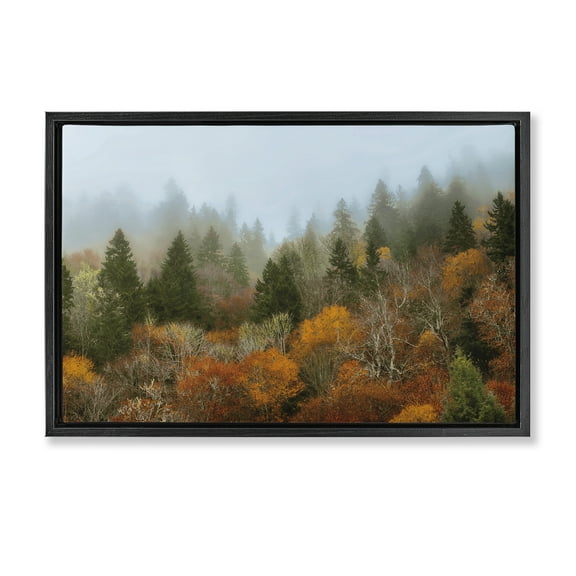 Stupell Industries Autumn Mountain Overview Black Framed Floater Canvas Wall Art design by D. Burt, 17 x 25
