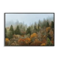Stupell Industries Autumn Mountain Overview Black Framed Giclee Art design by D. Burt, 12 x 18