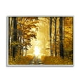 thumbnail image 1 of Stupell Industries Autumn Path Landscape Nature Painting Gray Framed Art Print Wall Art, 30 x 24, 1 of 8