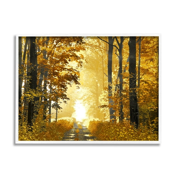 Stupell Industries Autumn Path Landscape Nature Painting White Framed Art Print Wall Art, 20 x 16