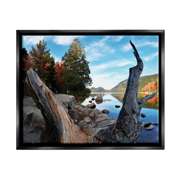 Stupell Industries Autumn Pond Photography Nature Photography Black Floater Framed Art Print Wall Art, 21 x 17