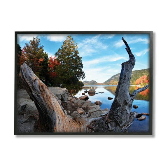Stupell Industries Autumn Pond Photography Nature Photography Black Framed Art Print Wall Art, 14 x 11