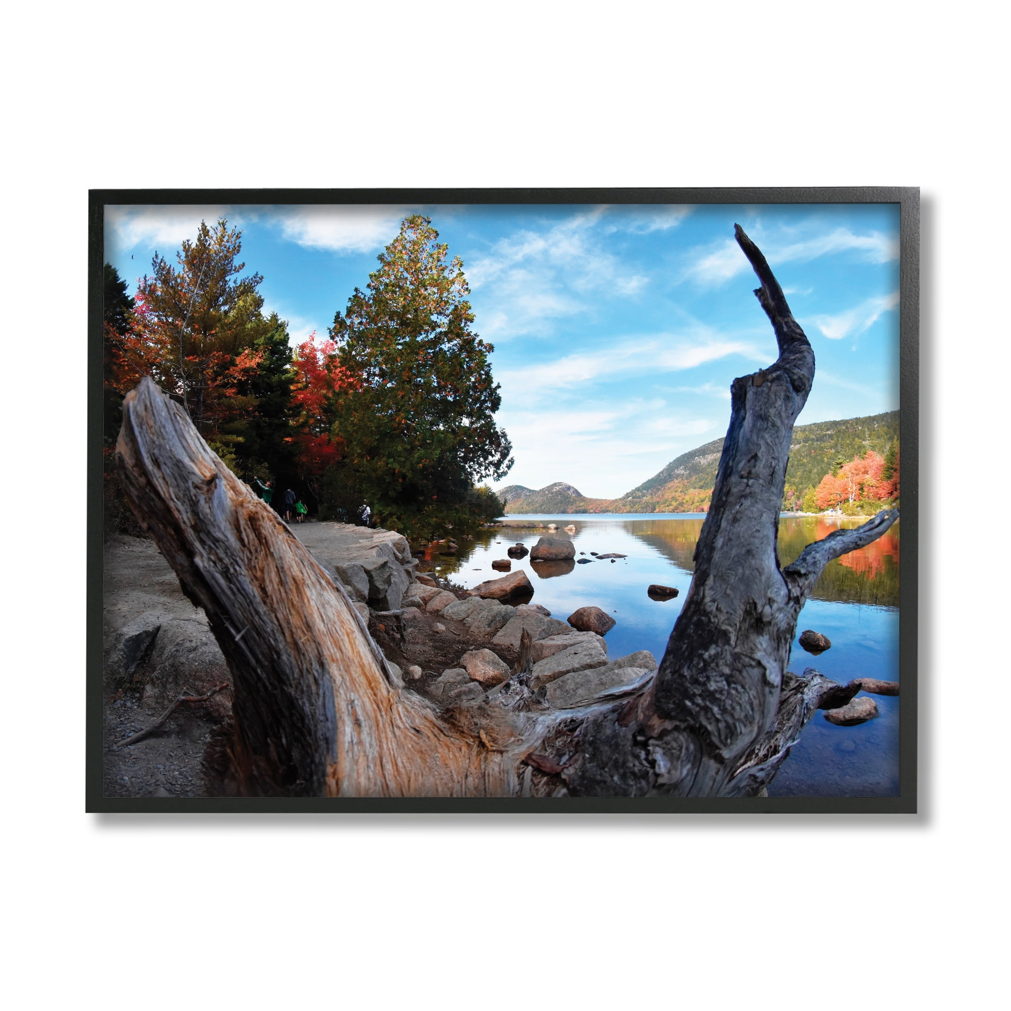 Stupell Industries Autumn Pond Photography Nature Photography Black Framed Art Print Wall Art, 20 x 16
