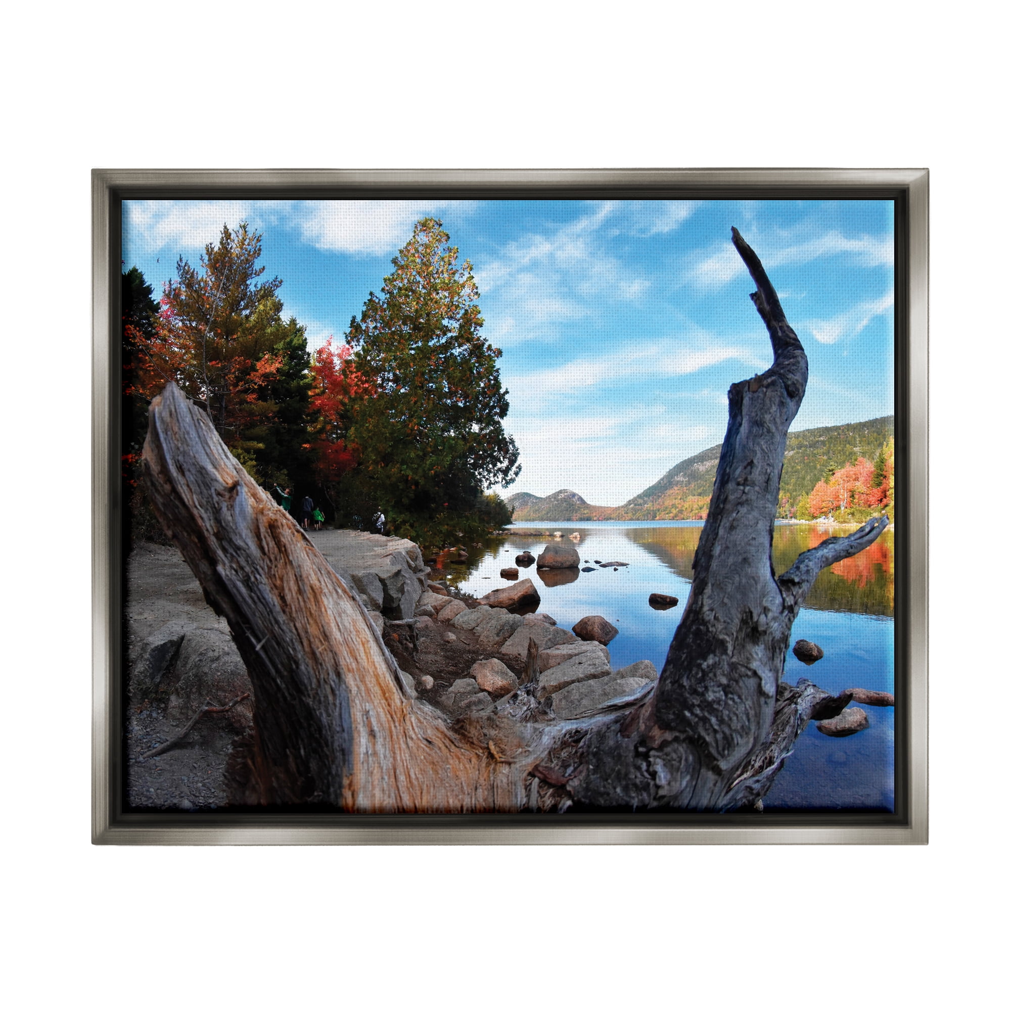 Stupell Industries Autumn Pond Photography Nature Photography Gray Floater Framed Art Print Wall Art, 31 x 25