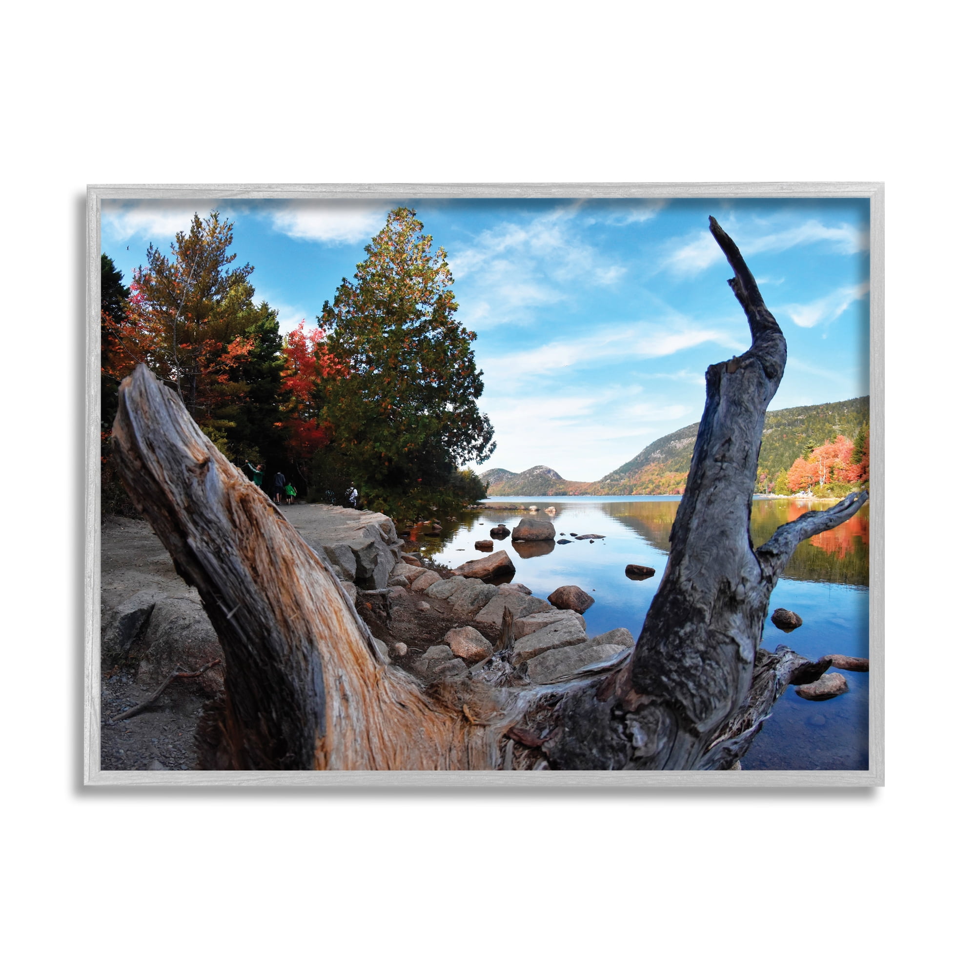 Stupell Industries Autumn Pond Photography Nature Photography Gray Framed Art Print Wall Art, 20 x 16