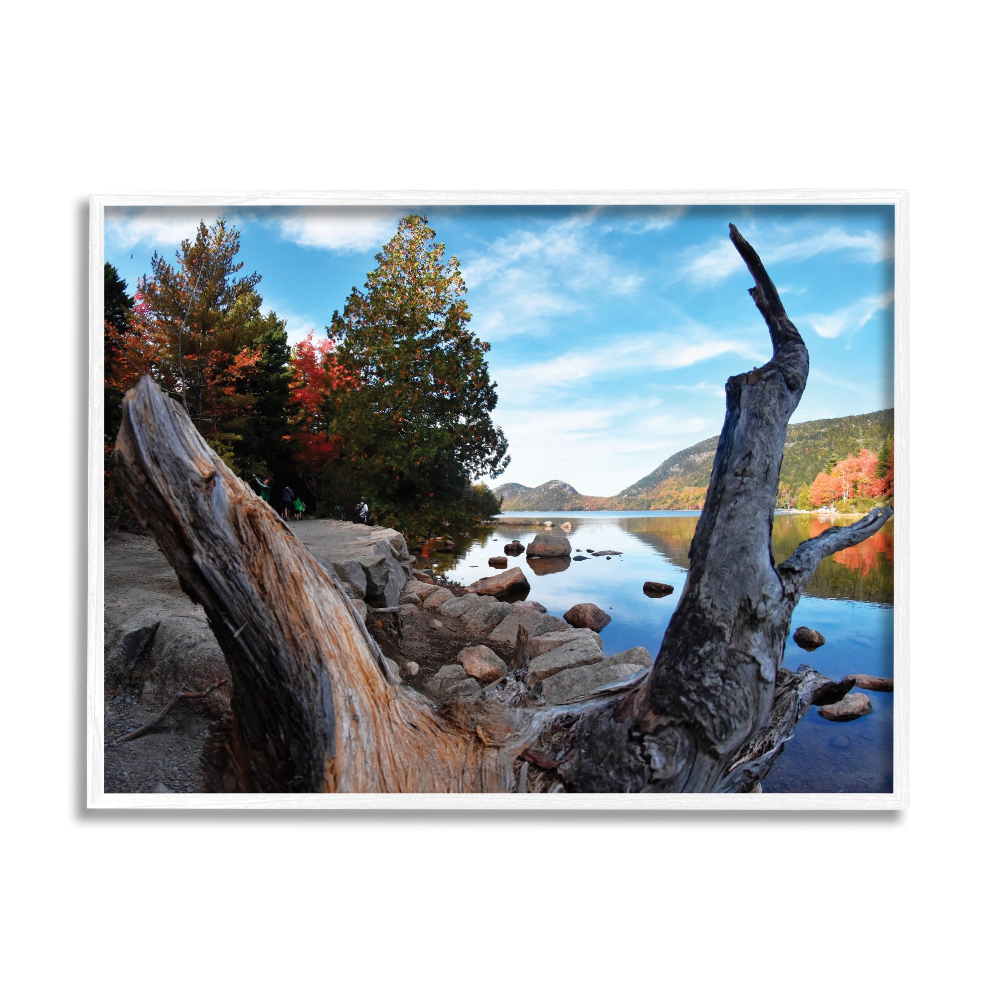 Stupell Industries Autumn Pond Photography Nature Photography White Framed Art Print Wall Art, 20 x 16