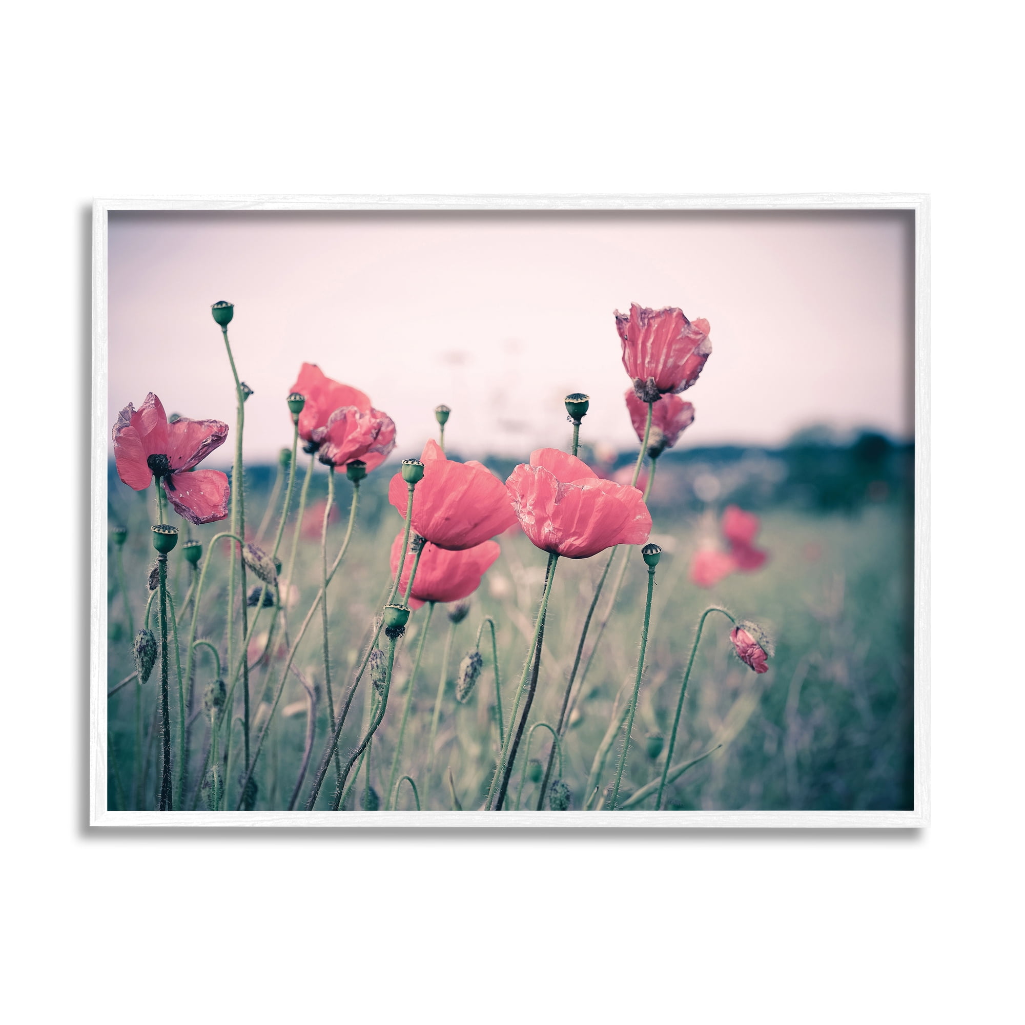 Stupell Industries Autumn Poppy Field Muted Sky Floral Landscape, 11 x 14, Designed by Adelino Goncalves