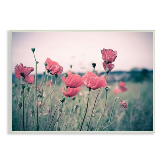 Stupell Industries Autumn Poppy Field Muted Sky Floral Landscape, 13 x 19, Designed by Adelino Goncalves