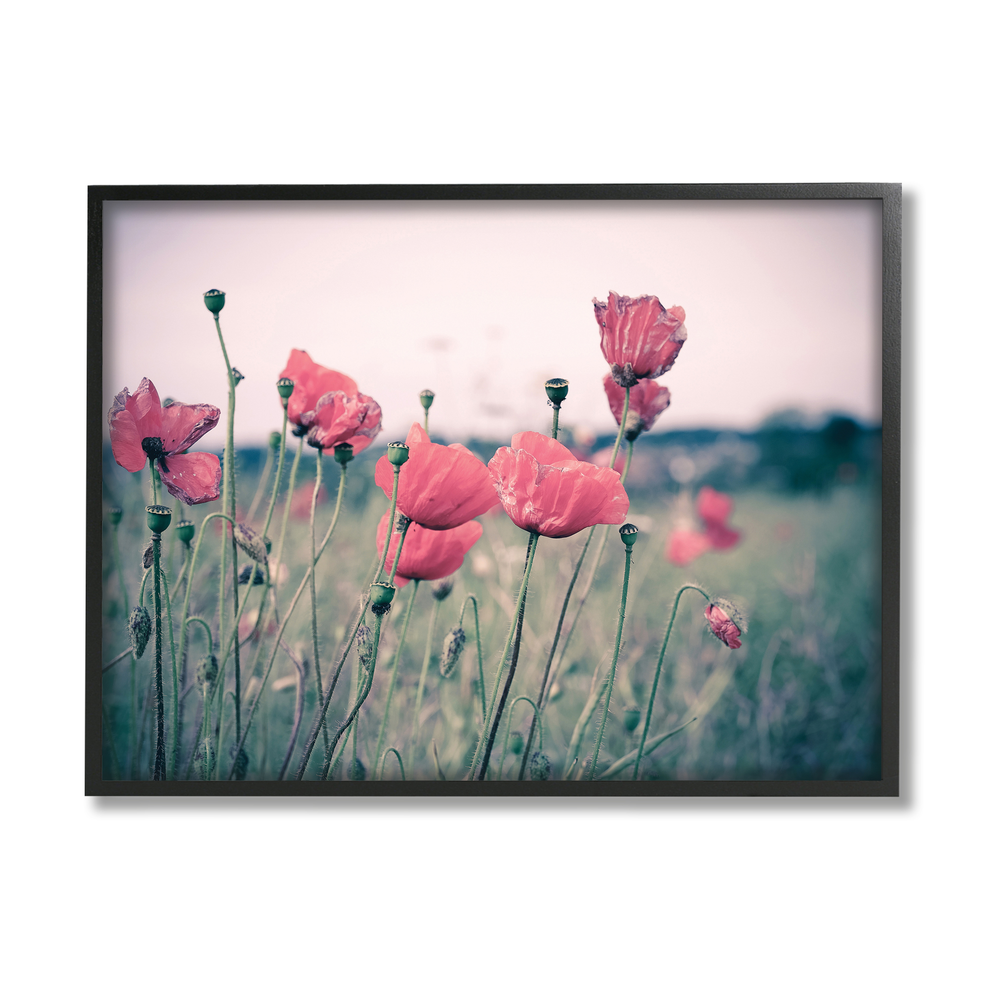 Stupell Industries Autumn Poppy Field Muted Sky Floral Landscape Photography Black Framed Art Print Wall Art, 11x14, by Adelino Goncalves