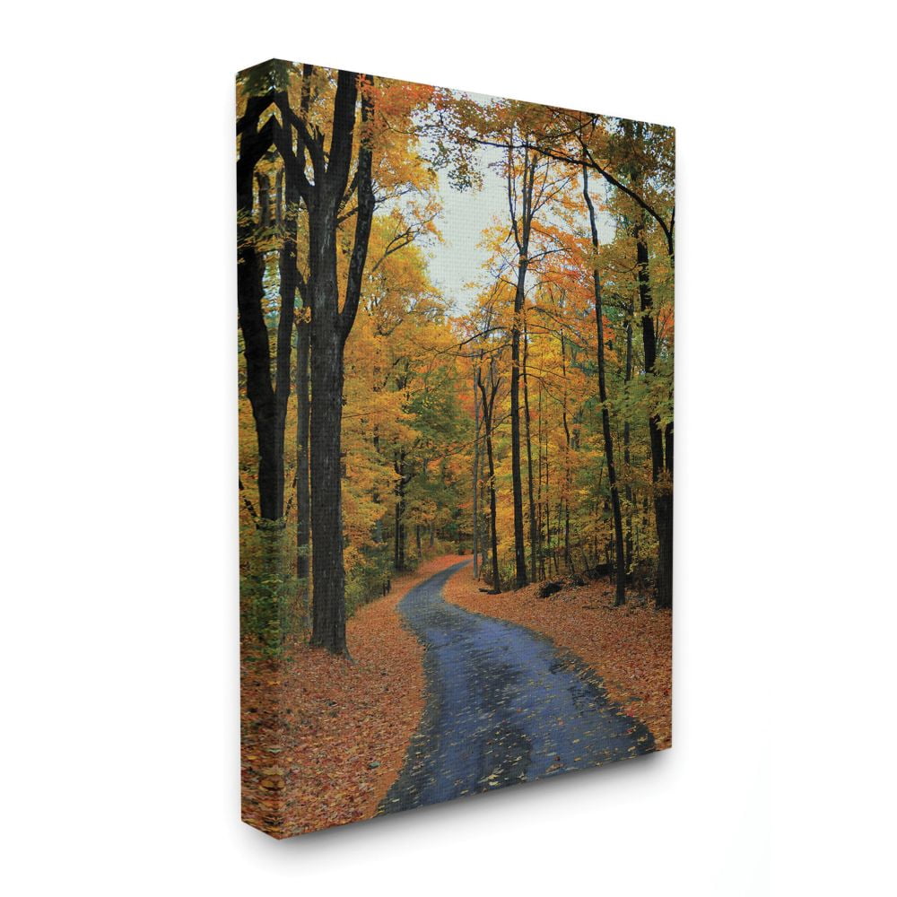 Stupell Industries Autumn Road Forest Landscape Photograph Canvas Wall Art by Joseph Elliott