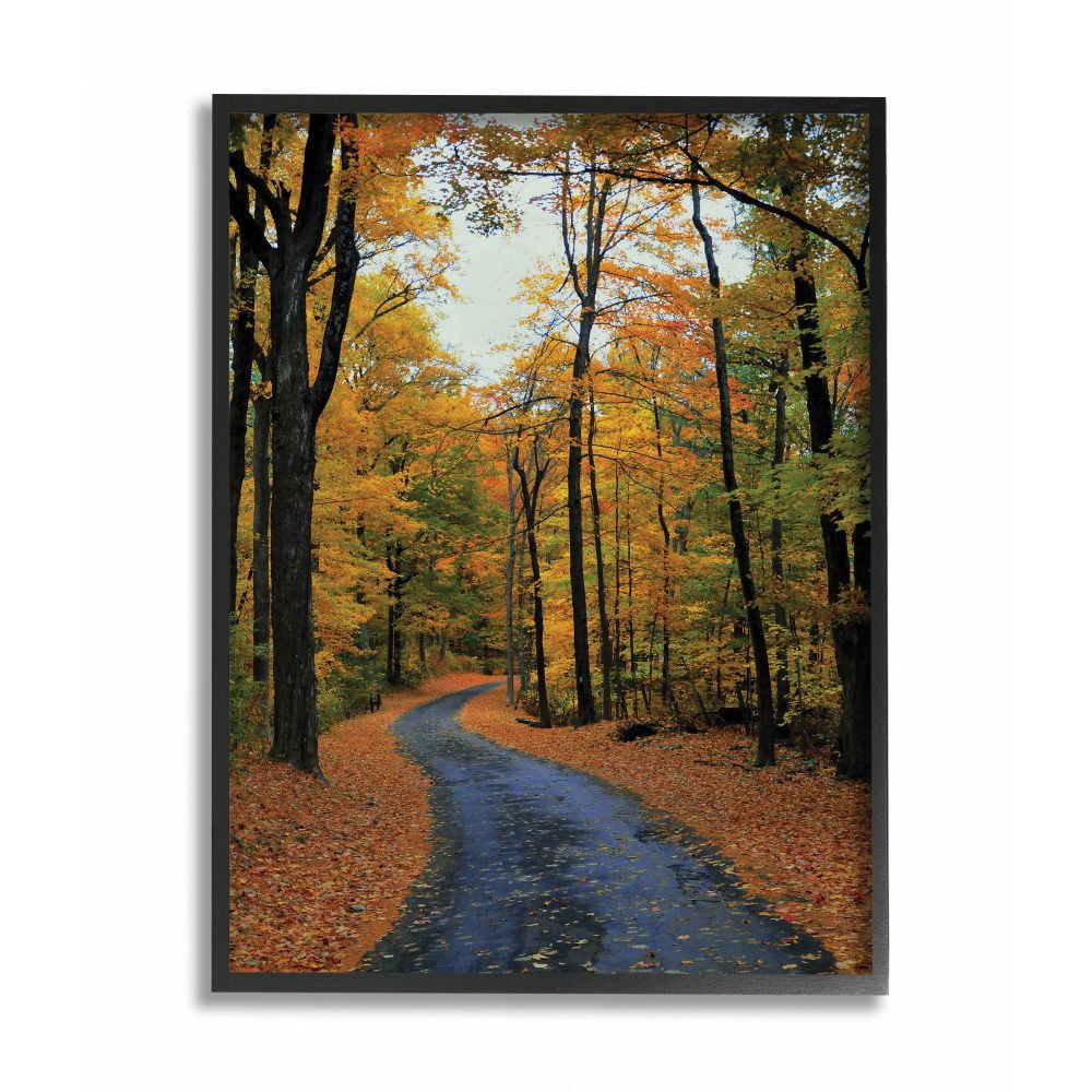 Stupell Industries Autumn Road Forest Landscape Photograph Framed Wall Art by Joseph Elliott