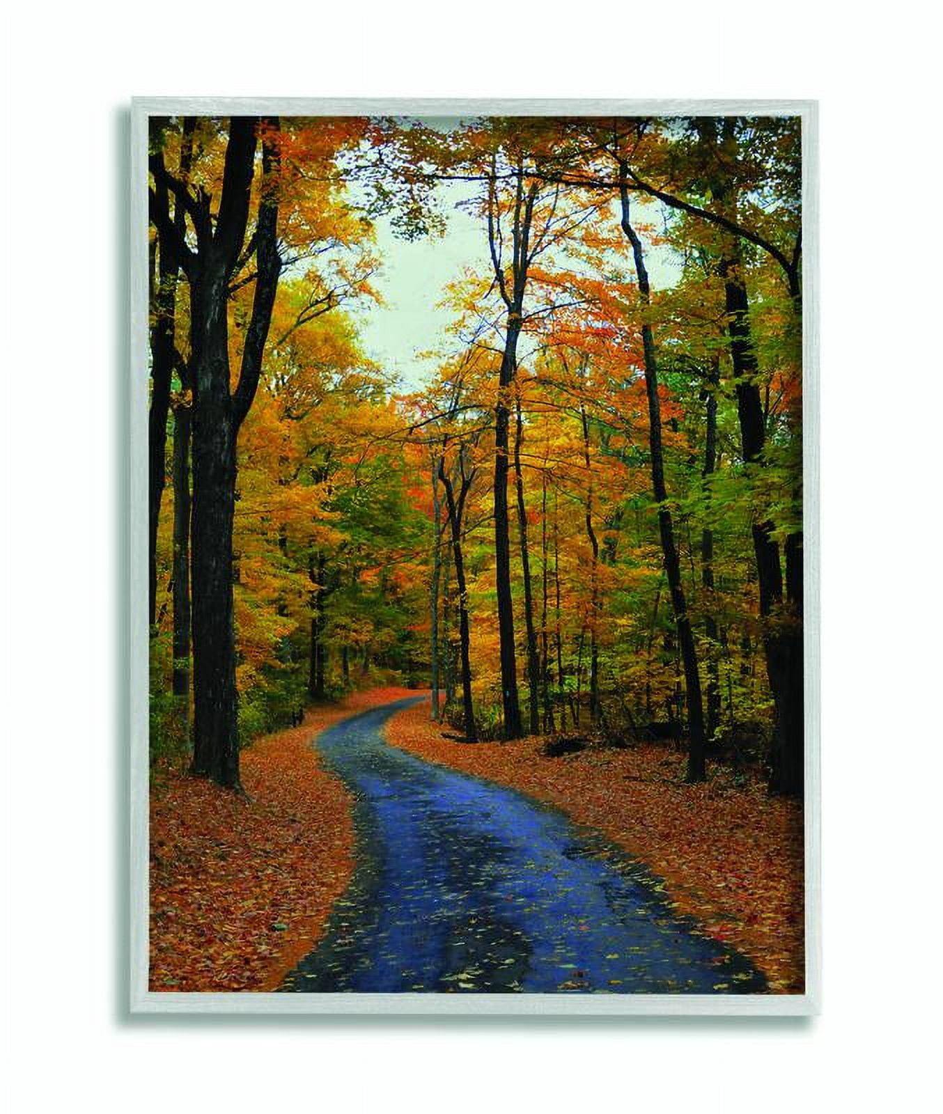 Stupell Industries Autumn Road Forest Landscape Photograph Framed Wall Art by Joseph Elliott