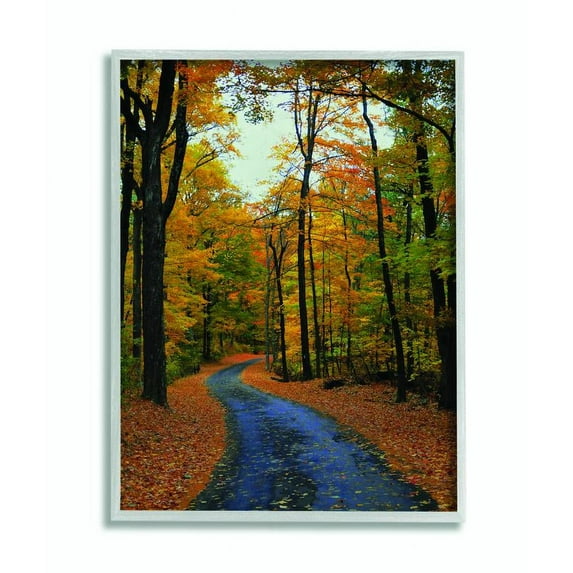 Stupell Industries Autumn Road Forest Landscape Photograph Framed Wall Art by Joseph Elliott