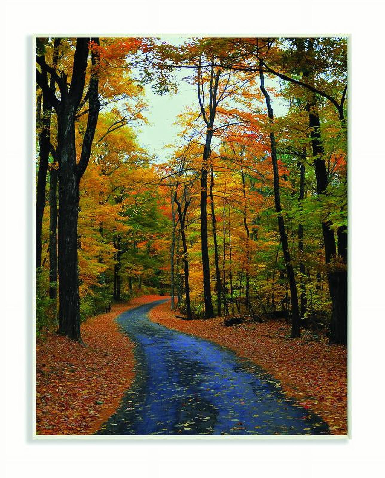 Stupell Industries Autumn Road Forest Landscape Photograph Unframed Art Print Wall Art, 13x19, by Joseph Elliott