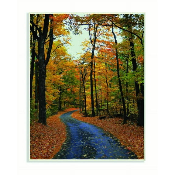 Stupell Industries Autumn Road Forest Landscape Photograph Unframed Art Print Wall Art, 13x19, by Joseph Elliott