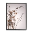 thumbnail image 1 of Stupell Industries Autumn Thistles in the Sky Neutral Brown Beige Black Framed, 16 x 20, Design by Design Fabrikken, 1 of 7