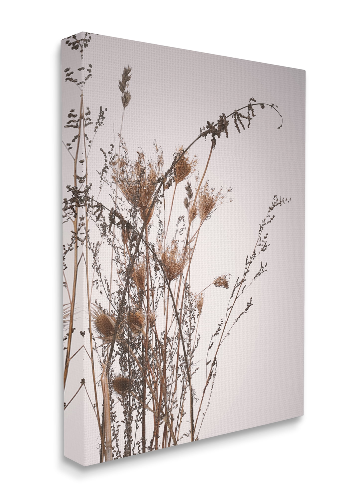 Stupell Industries Autumn Thistles in the Sky Neutral Brown Beige Canvas Wall Art, 24 x 30, Design by Design Fabrikken