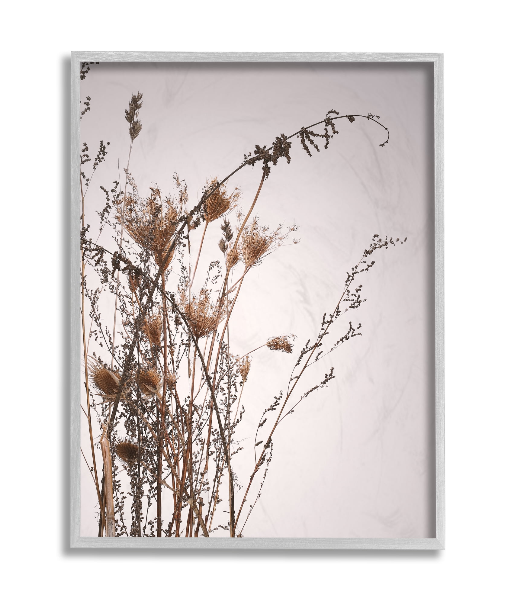 Stupell Industries Autumn Thistles in the Sky Neutral Brown Beige Grey Framed, 11 x 14, Design by Design Fabrikken