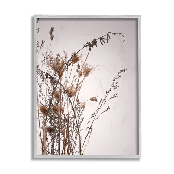 Stupell Industries Autumn Thistles in the Sky Neutral Brown Beige Grey Framed, 11 x 14, Design by Design Fabrikken