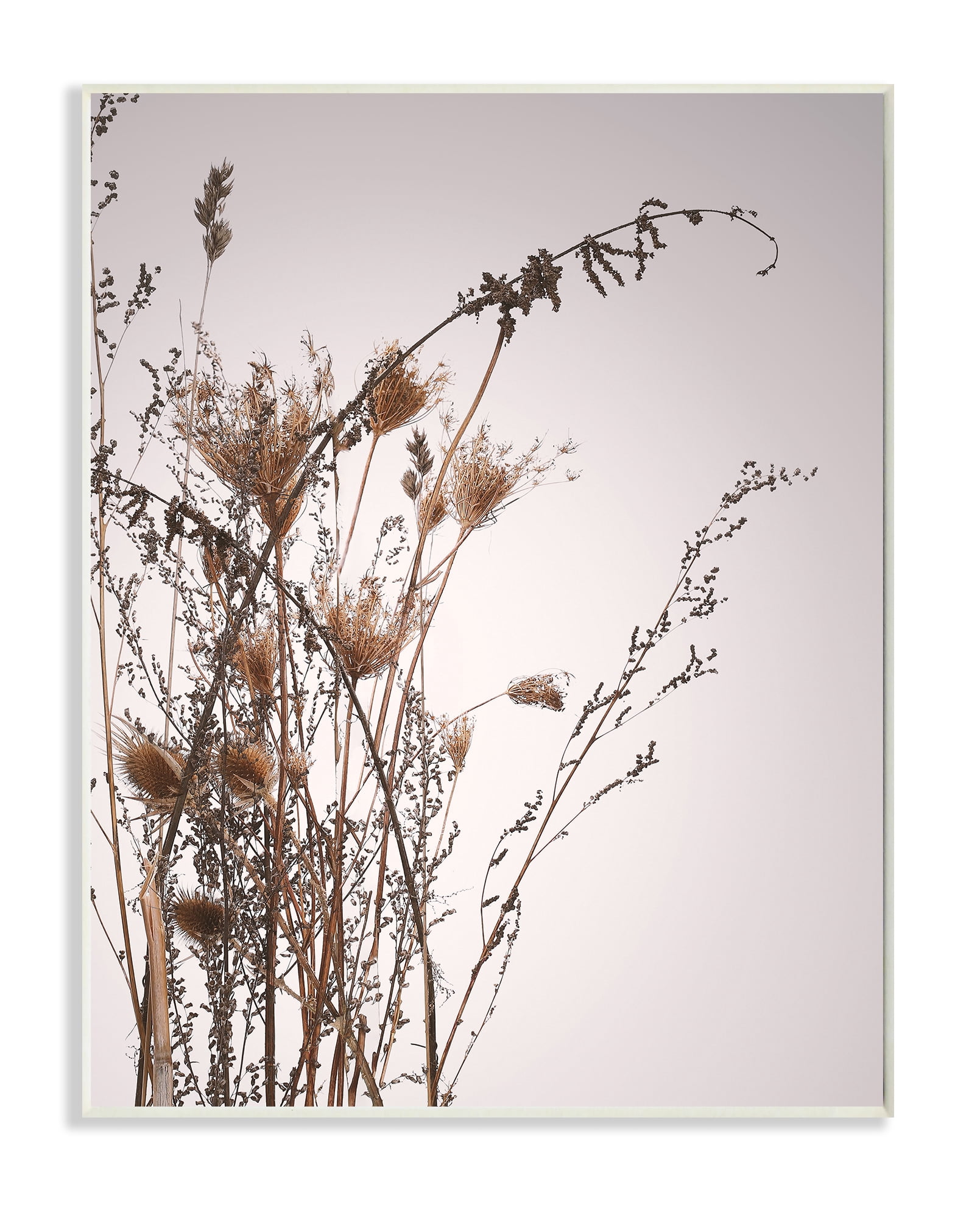 Stupell Industries Autumn Thistles in the Sky Neutral Brown Beige Wall Plaque, 10 x 15, Design by Design Fabrikken