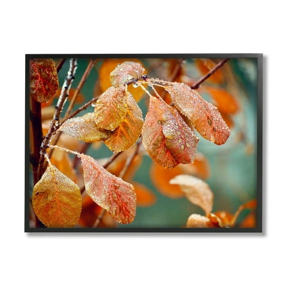 Stupell Industries Autumn Tree Leaves Water Droplets Fall Foliage Photograph Black Framed Art Print Wall Art, Design by Gail Peck