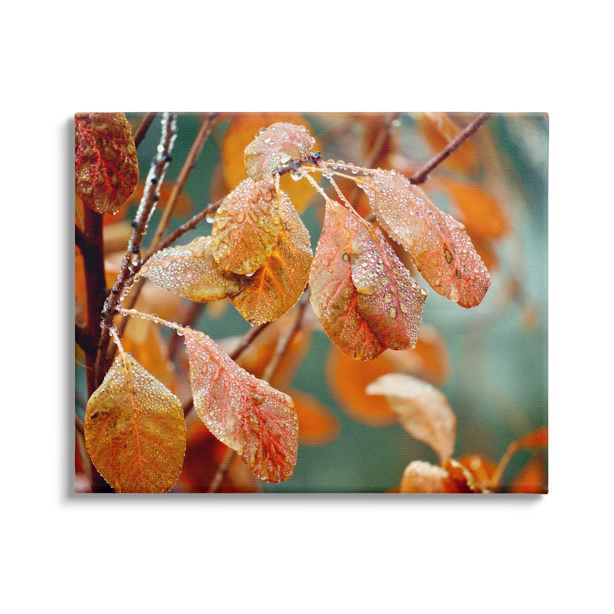 Stupell Industries Autumn Tree Leaves Water Droplets Fall Foliage Photograph Gallery Wrapped Canvas Print Wall Art, Design by Gail Peck