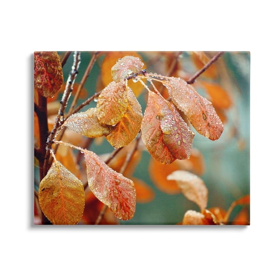 Stupell Industries Autumn Tree Leaves Water Droplets Fall Foliage Photograph Gallery Wrapped Canvas Print Wall Art, Design by Gail Peck