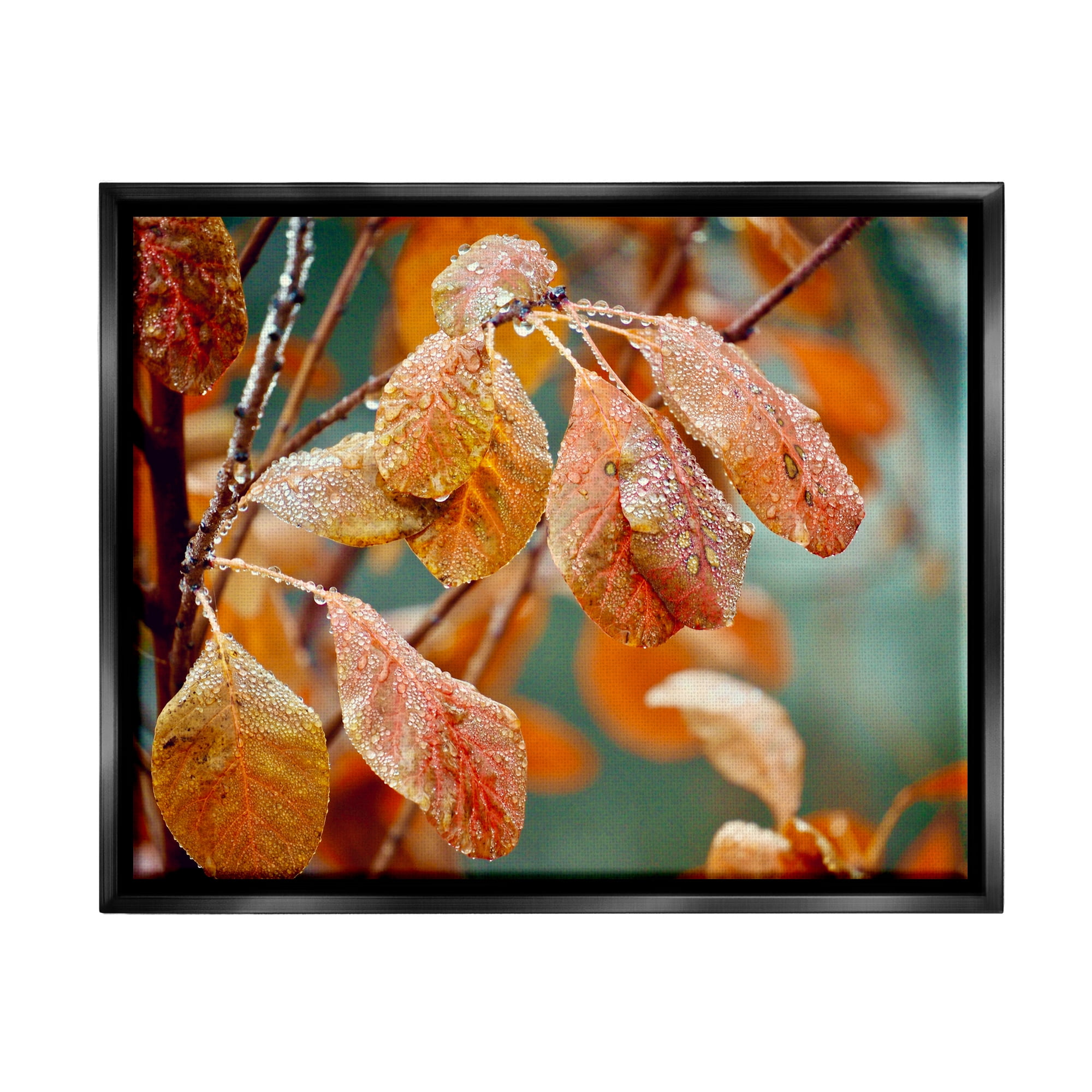 Stupell Industries Autumn Tree Leaves Water Droplets Fall Foliage Photograph Jet Black Floating Framed Canvas Print Wall Art, Design by Gail Peck